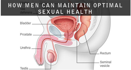 Mygyno Kenya Maintaining Optimal Sexual Health Sexual Health